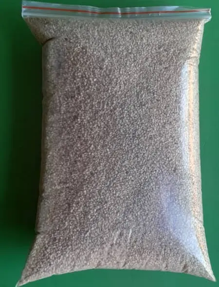 sesame